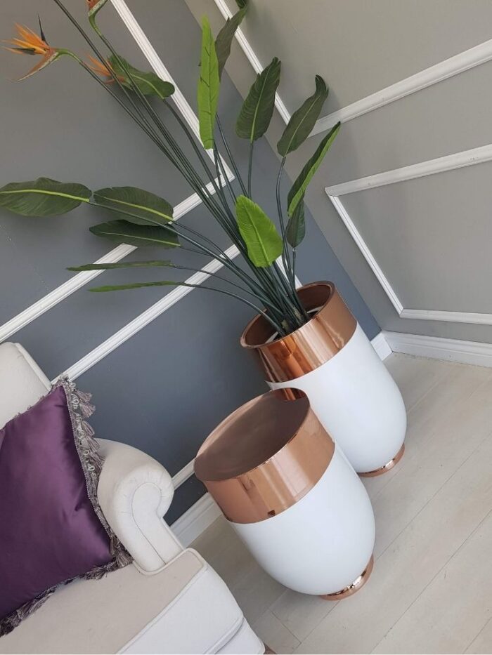 Darbuka İkili Takım - Beyaz & Rose - Görsel 3