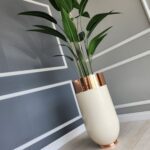 Darbuka Büyük Saksı 70 cm - Krem & Rose