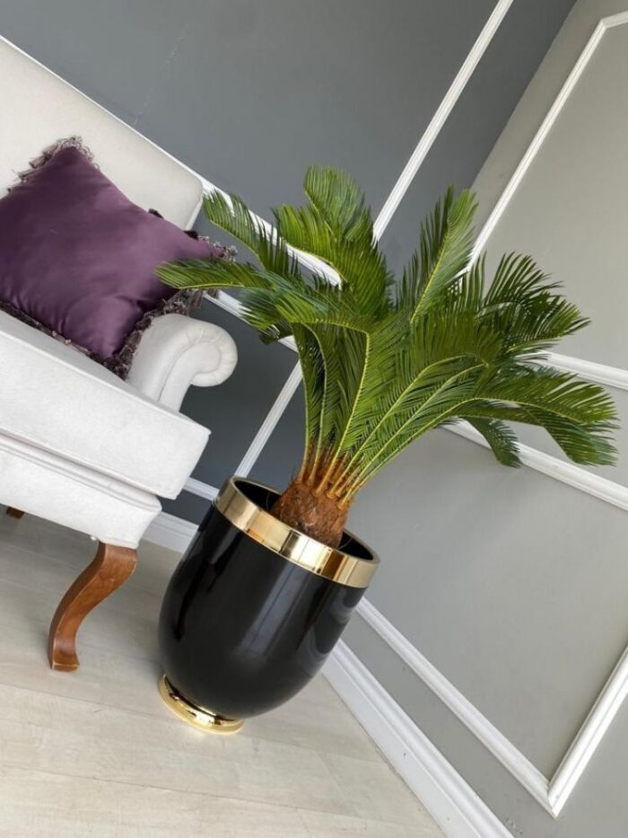 Darbuka Büyük Saksı 45 cm - Siyah & Gold - Görsel 5
