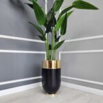 Darbuka Büyük Saksı 60 cm - Siyah & Gold