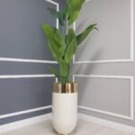Darbuka Büyük Saksı 70 cm - Krem & Gold